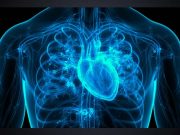 Circulatory Physiology, Mechanics and Design (CPMD)