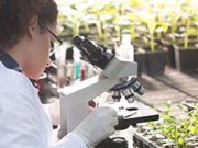 Bioengineering: An Interface with Biology and Medicine