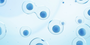 Tissue engineering