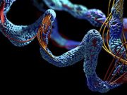 Functional Genomics