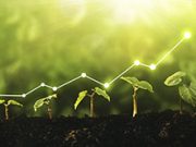 Introduction to Environmental Economics