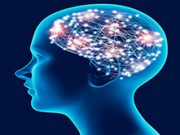 Introduction to Brain and Behaviour