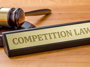 Intellectual Property Rights and Competition Law