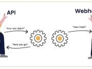 Webhooks and API Usage best practices