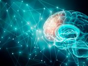 Mapping Neuroscience to Indian Knowledge Systems