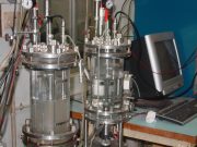 Downstream bioprocess design calculations - A hands on workshop