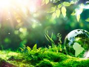 Sustainability for Indian Businesses