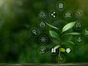 Introductory training program on Sustainability
