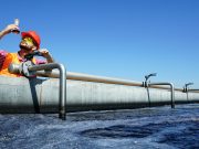 A Hybrid Course on Water Quality – An Approach to People’s Water Data