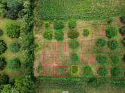GIS, Drones and Machine Learning for Resource Mapping