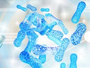 Phage Ecology and Evolution in Microbiomes