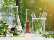 The emergence of the C–H functionalization strategy in medicinal chemistry and drug discovery