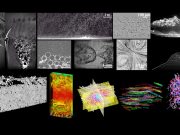 Particle-based Flow Diagnostics: From field measurements to 3D Holographic Imaging