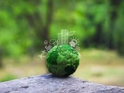 Sustainability for Indian Businesses - Cohort 5