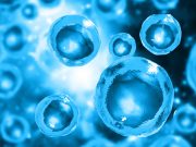 Tools and Techniques of Molecular Cloning - Batch 2