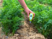 Introduction to Drought Monitoring and Analysis: Types, Indices, Data Inputs, and Univariate vs Bivariate Drought Characterization – A Hands-on Workshop