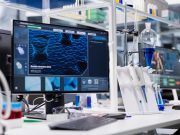 Recombinant Protein Production, Purification, and Quality Assessment
